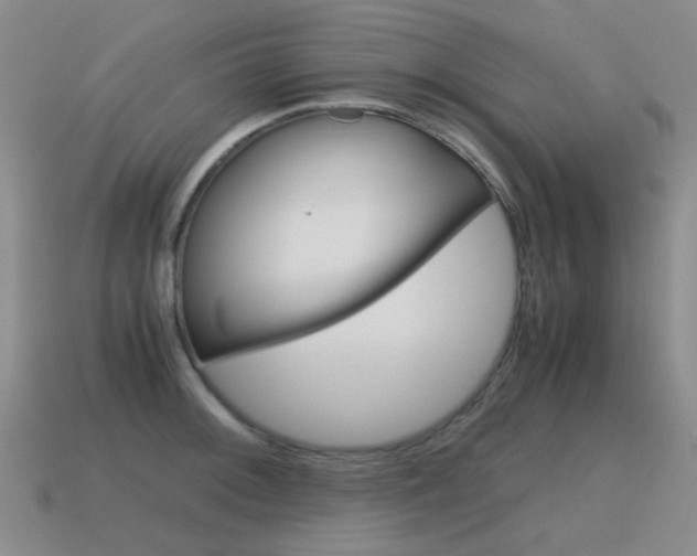 X0000115601092200911100947