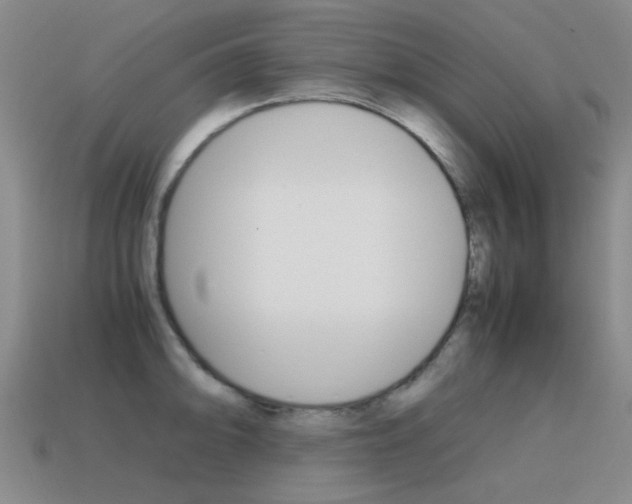 X0000115601094200911100947