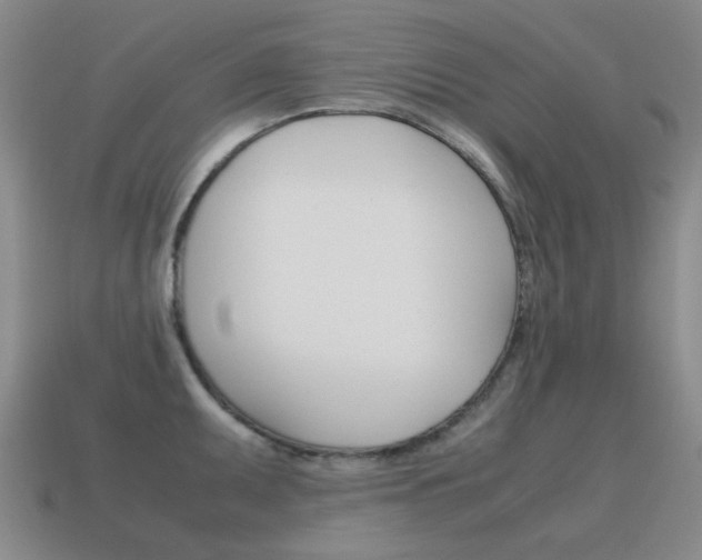 X0000115601095200911100947