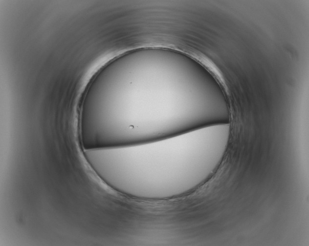 X0000115601096200911100947