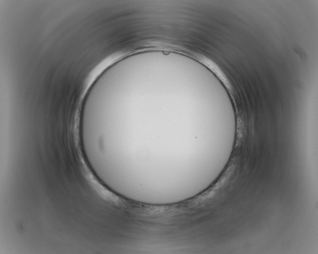 X0000115601098200911100947