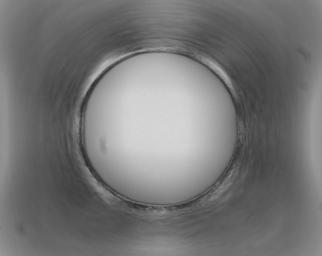 X0000115601099200911100947