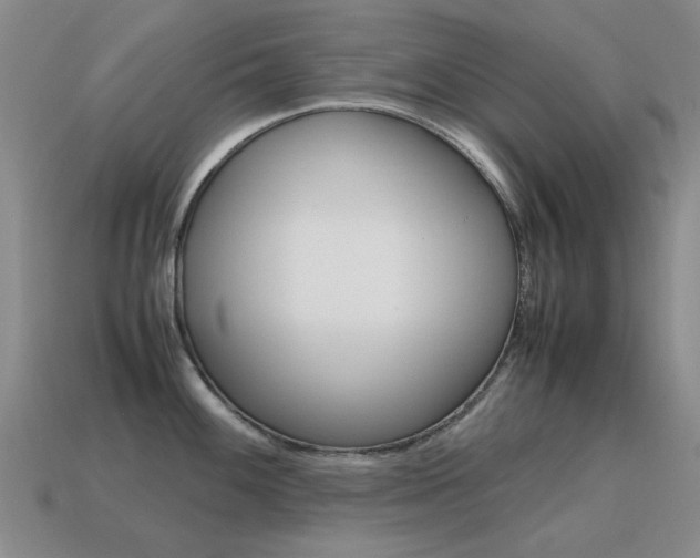 X0000115601100200911100947