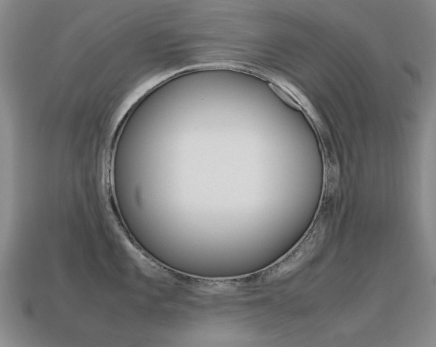 X0000115601101200911100947