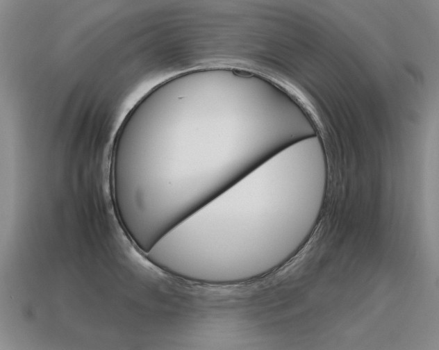 X0000115601102200911100947