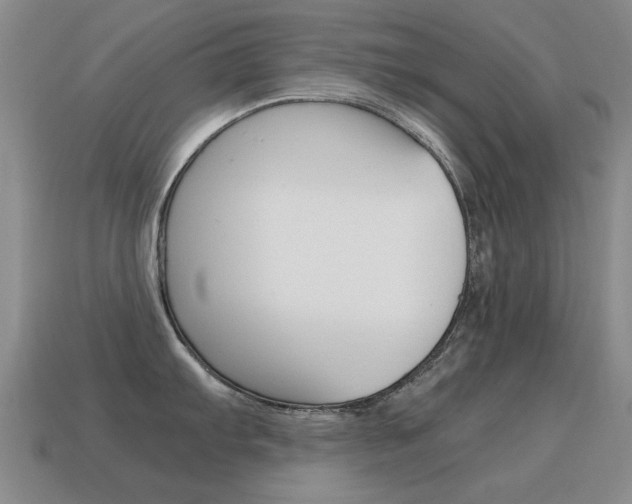 X0000115601103200911100947