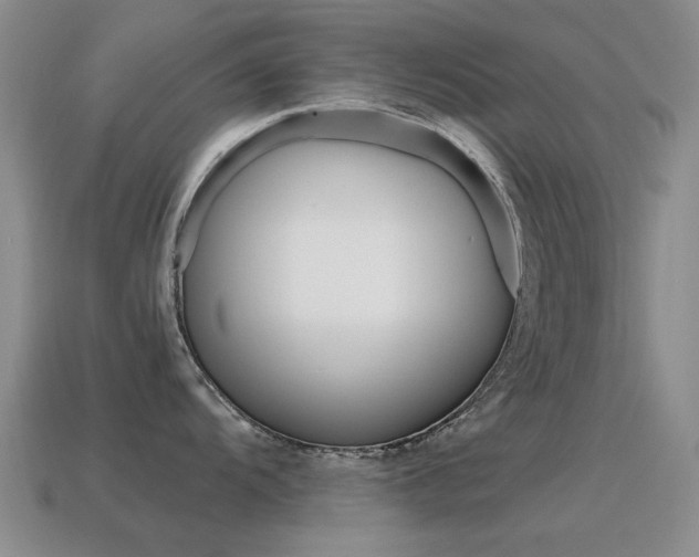 X0000115601104200911100947