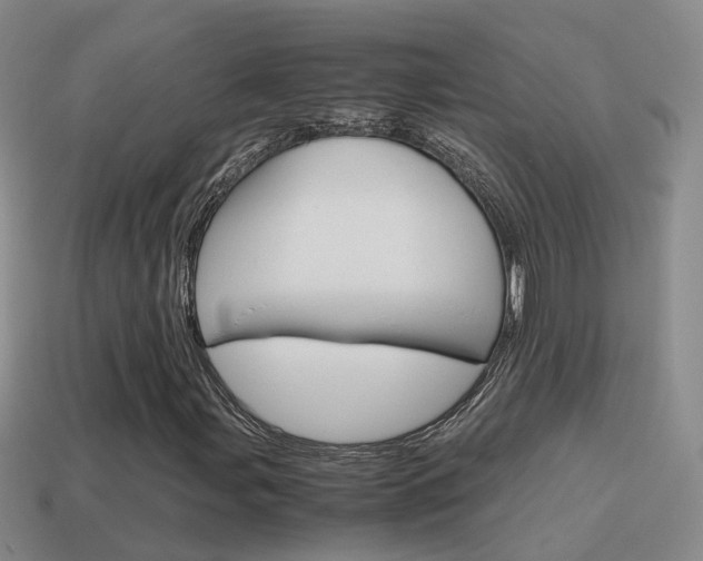 X0000115601107200911100946