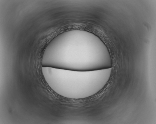 X0000115601109200911100946