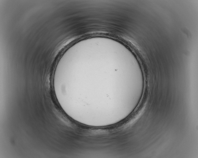 X0000115601113200911100946