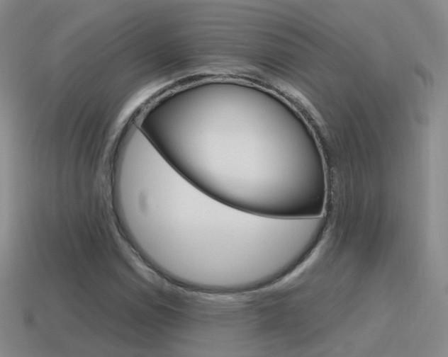 X0000115601114200911100946