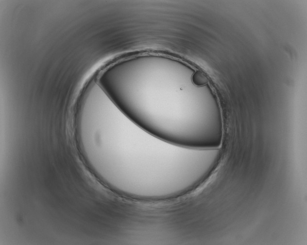 X0000115601118200911100946
