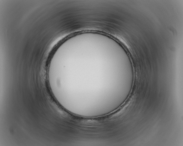 X0000115601119200911100946