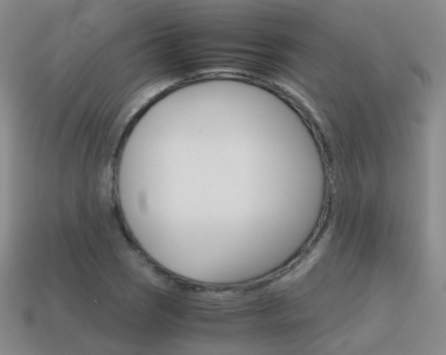 X0000115601121200911100946