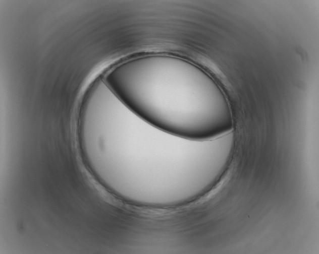 X0000115601122200911100946