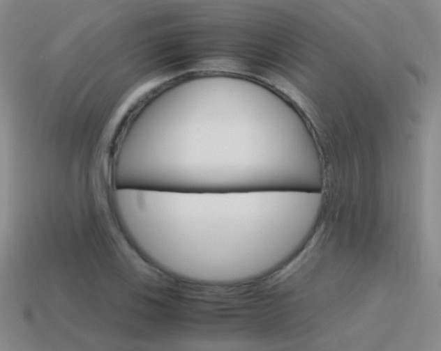 X0000115601123200911100946