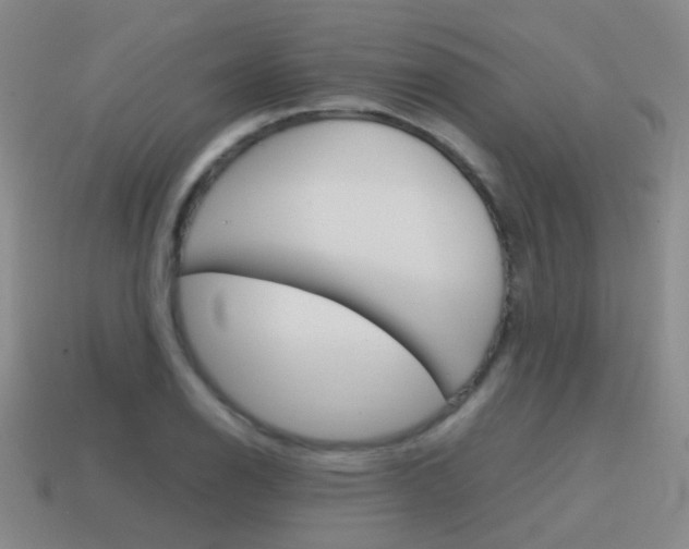 X0000115601126200911100946