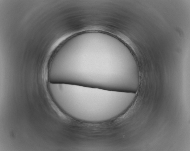 X0000115601127200911100946