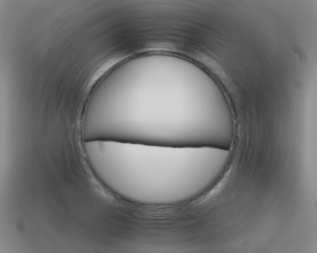 X0000115601129200911100946