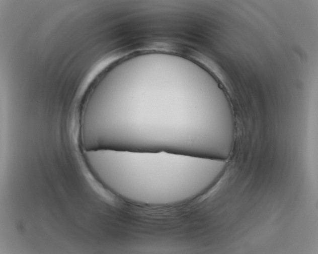 X0000115601131200911100946