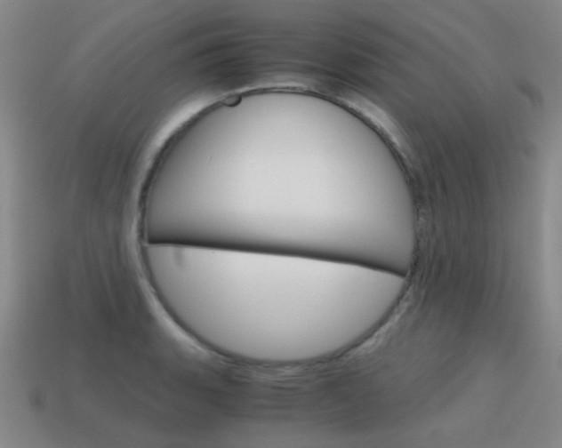 X0000115601135200911100946
