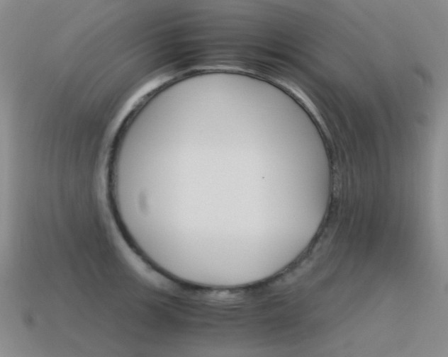 X0000115601139200911100946
