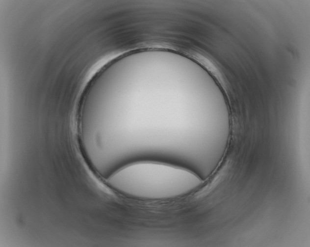 X0000115601141200911100946