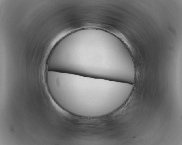 X0000115601143200911100946