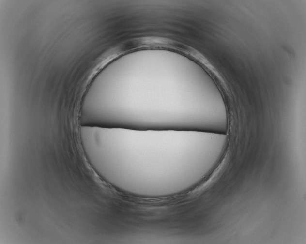 X0000115601145200911100946