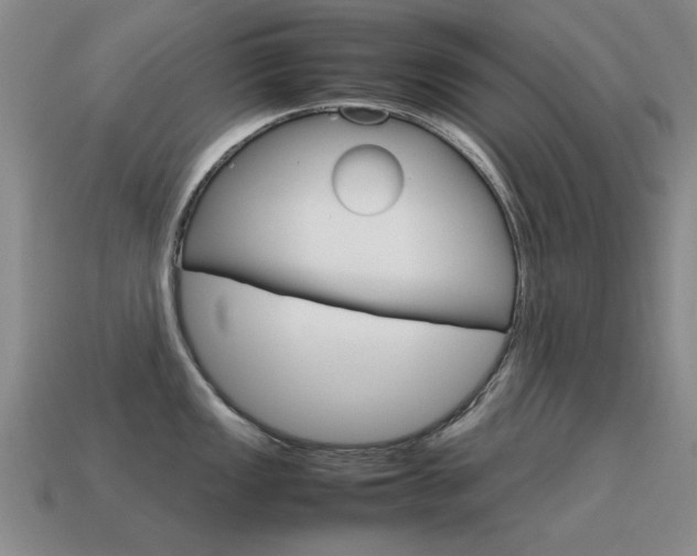 X0000115601149200911100946