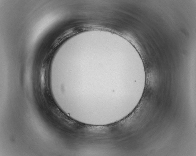 X0000115601150200911100946