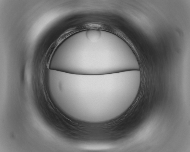 X0000115601151200911100947