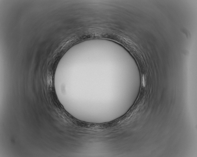 X0000115601155200911100946