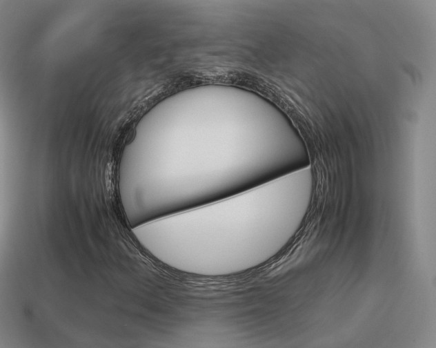 X0000115601156200911100946