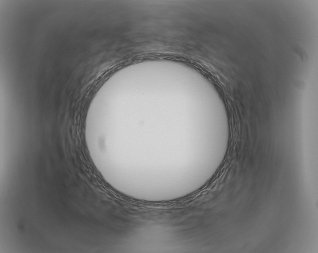 X0000115601157200911100946