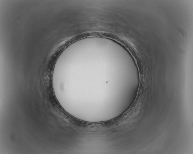 X0000115601159200911100946
