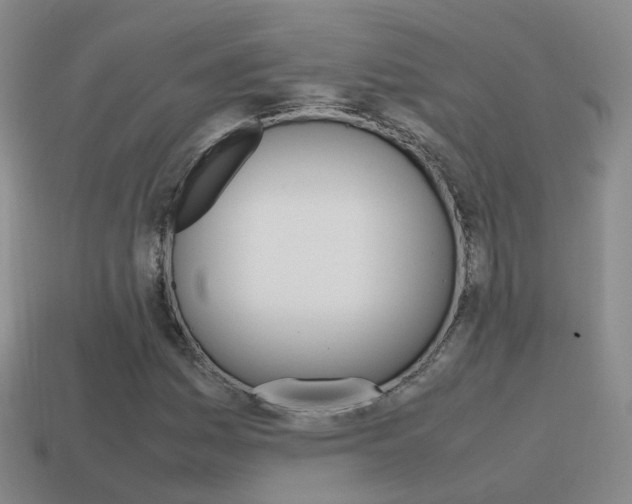 X0000115601161200911100946