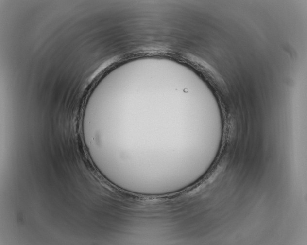 X0000115601162200911100946