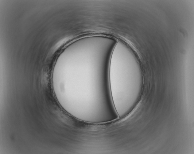 X0000115601163200911100946
