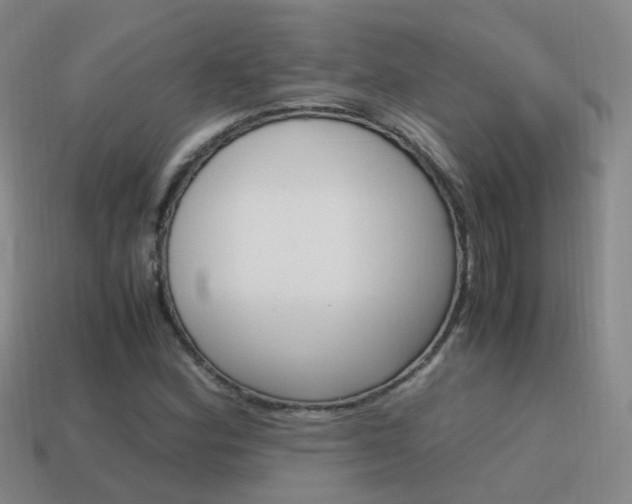 X0000115601164200911100946