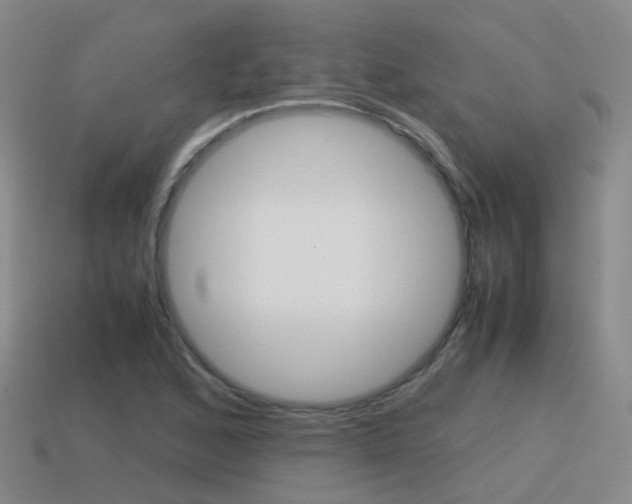 X0000115601168200911100946