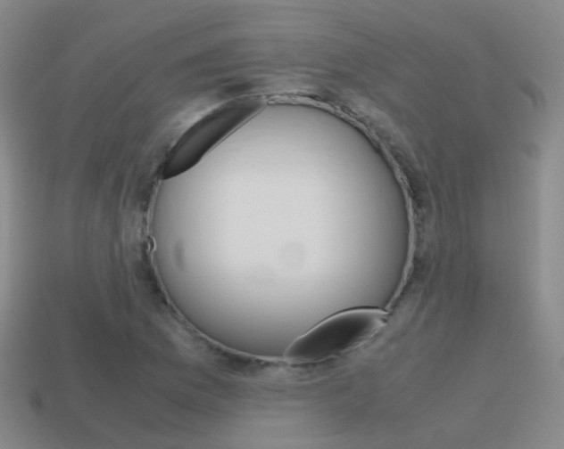 X0000115601169200911100946