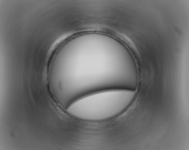X0000115601172200911100946
