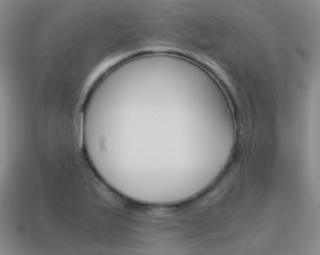 X0000115601175200911100946