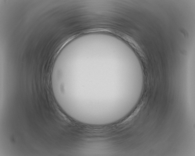 X0000115601177200911100946