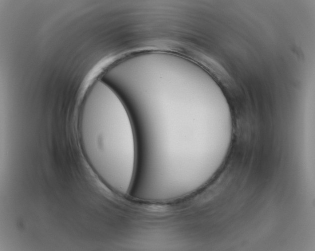 X0000115601180200911100946