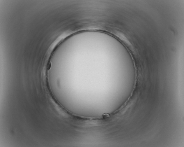 X0000115601181200911100946