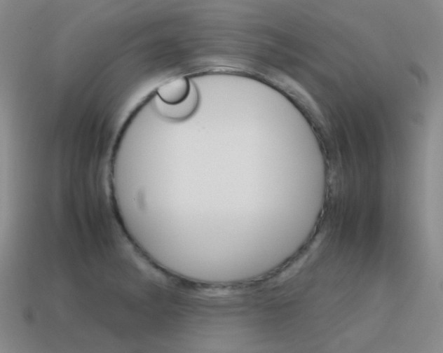 X0000115601182200911100946