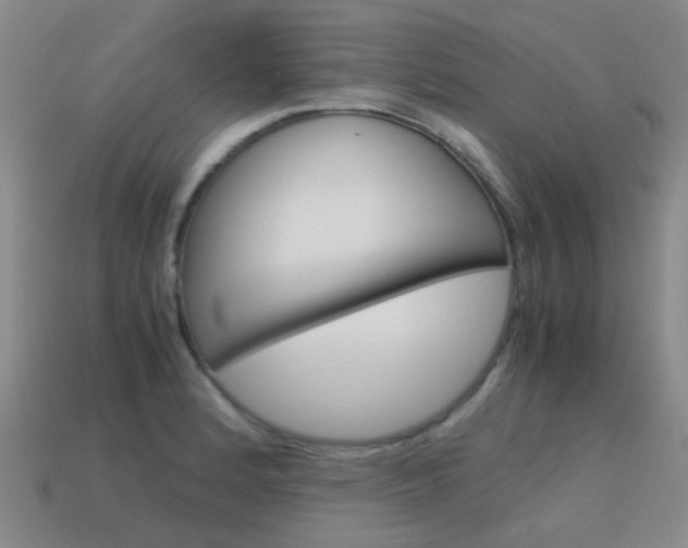 X0000115601184200911100946