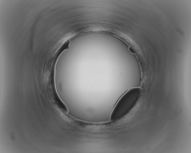 X0000115601185200911100945